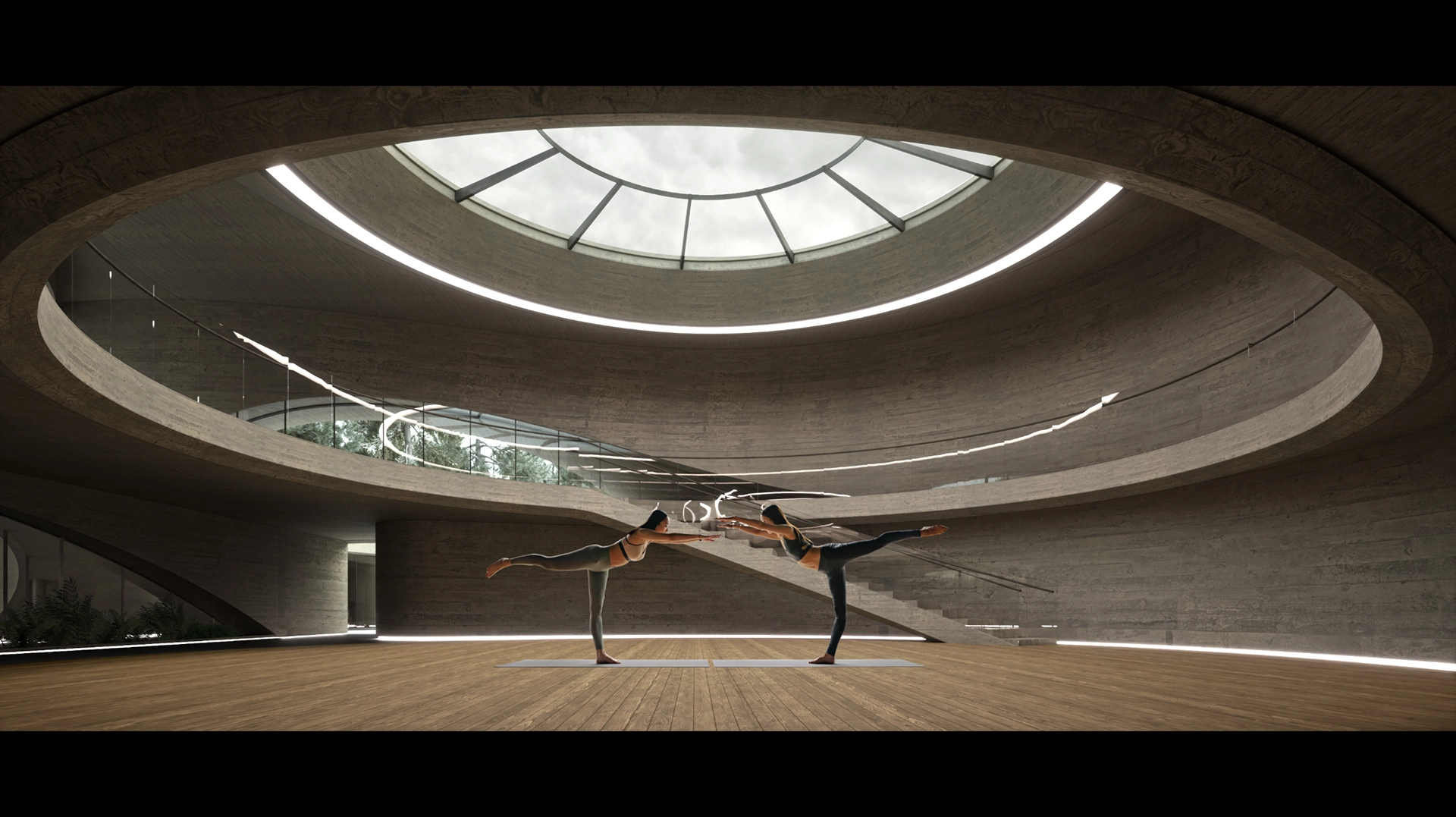 A Place in the Woods